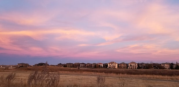 thumbnail_20201101_171727.jpg