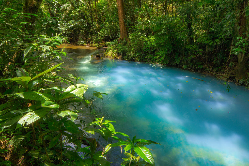 Thumbnail: Hiking to Rio Celeste Waterfall in Tenorio Volcano