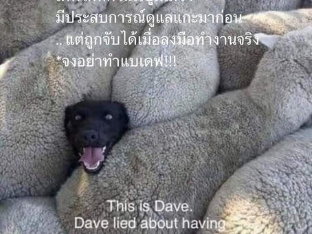 😩Pain point และตวามท้าทายของทุกๆองค์กรคืออยาก ”จ้างคนที่ใช่“เบื้องต้นคือดูประวัติการศึกษา ประสบการณ์ทำงาน ใบรับรองต่างๆนาๆ ตามด้วยพูดคุยสัมภาษณ์งานประมาณ 1-2ช.ม และหวังว่าจะได้คนที่ ”ใช่“ 