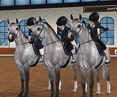 StarStable 2023-04-16 19-00-36.png