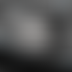 DO REGIME DA PARTICIPAÇÃO FINAL NOS AQUESTOS