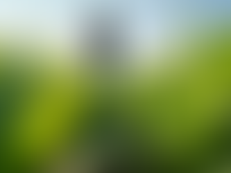 How Farmers Are Embracing Sustainability in Agriculture