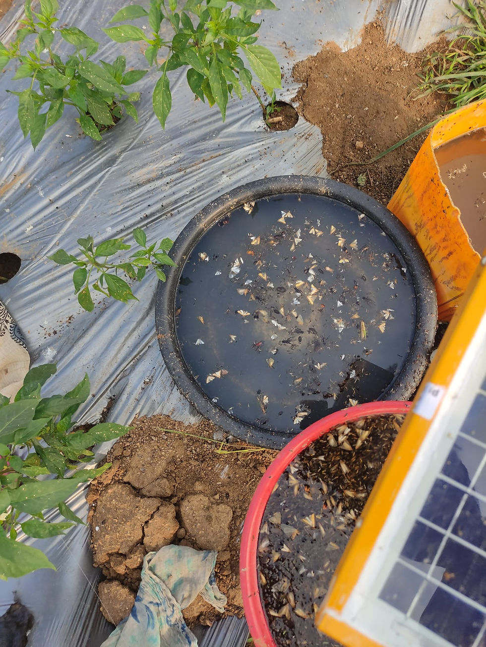 Solar Insect FARM SOLAR INSECT TRAPS | Farmroot Agritech Pv