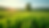 High angle view of a lush green farm in a sunny weather