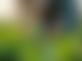 Effective Strategies for Managing Agricultural Pests