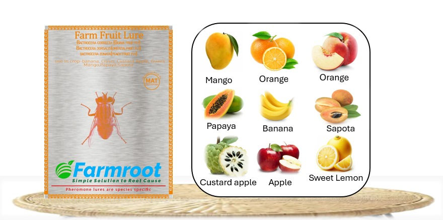 Thumbnail: Fruit fly pheromone traps and lures