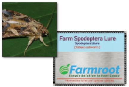 Thumbnail: FARM SPOD-O-LURE
