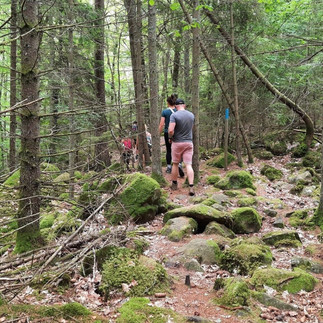 wandelen in de scandinavische bossen