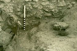 visit bambore for sites