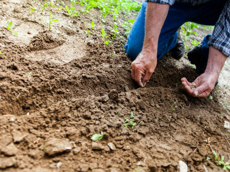 Stop planting every seed in your OneTrust garden - here's how to choose wisely