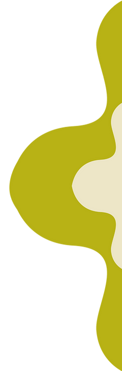 SS WEBSITE (11).png
