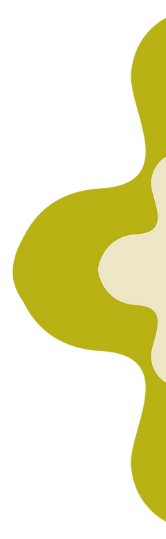 SS WEBSITE (11).png