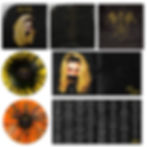 V1 Vinyl Original.jpg