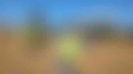 PXL_20240102_090024537