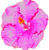 BackgroundEraser_20220207_231119087.png