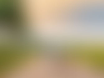 Should you be walking your dog off lead by the road?