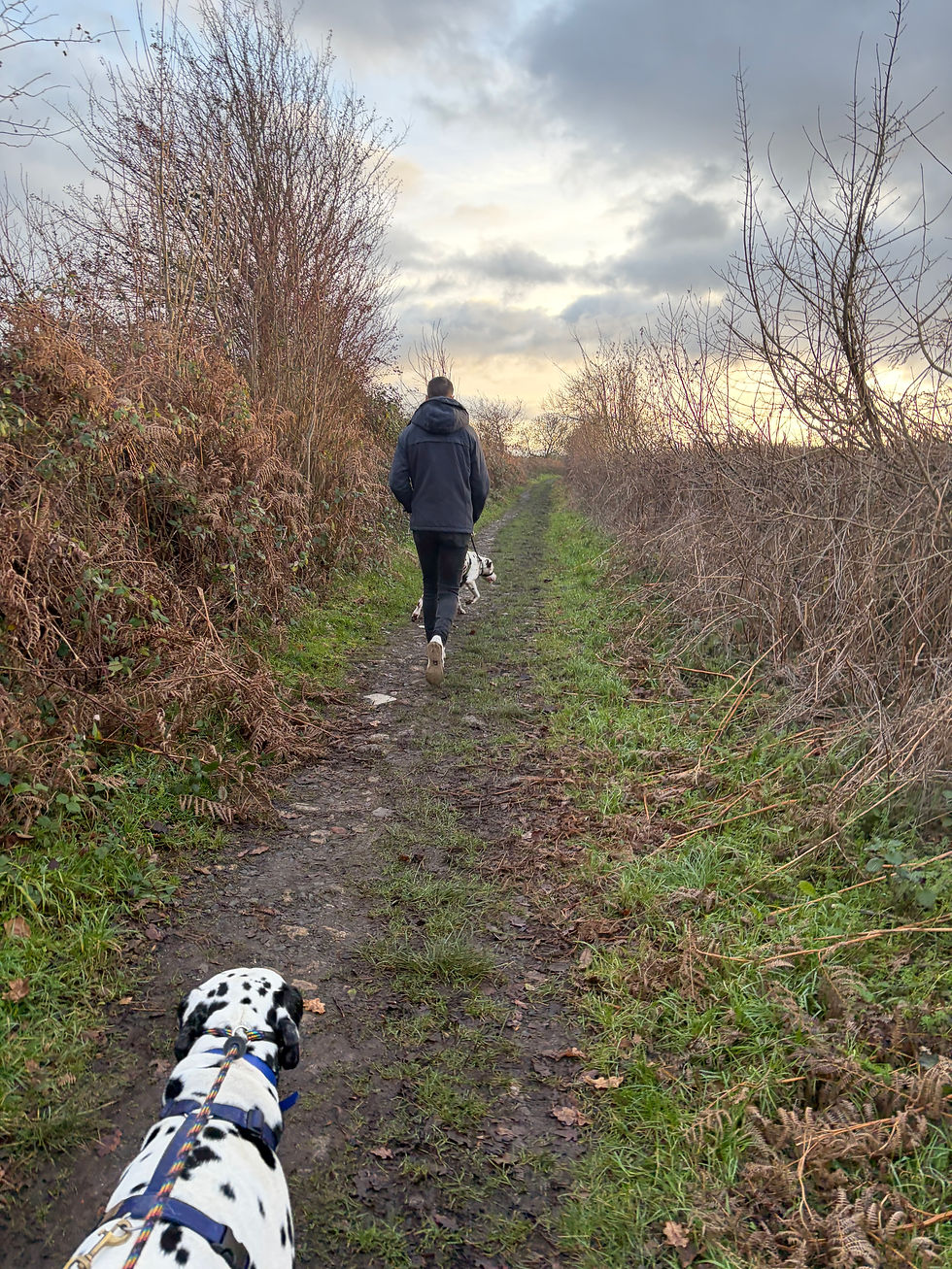 photo 01-01-2026, 15 28 54