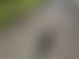 A bad experience doesn’t have to be a defining one.