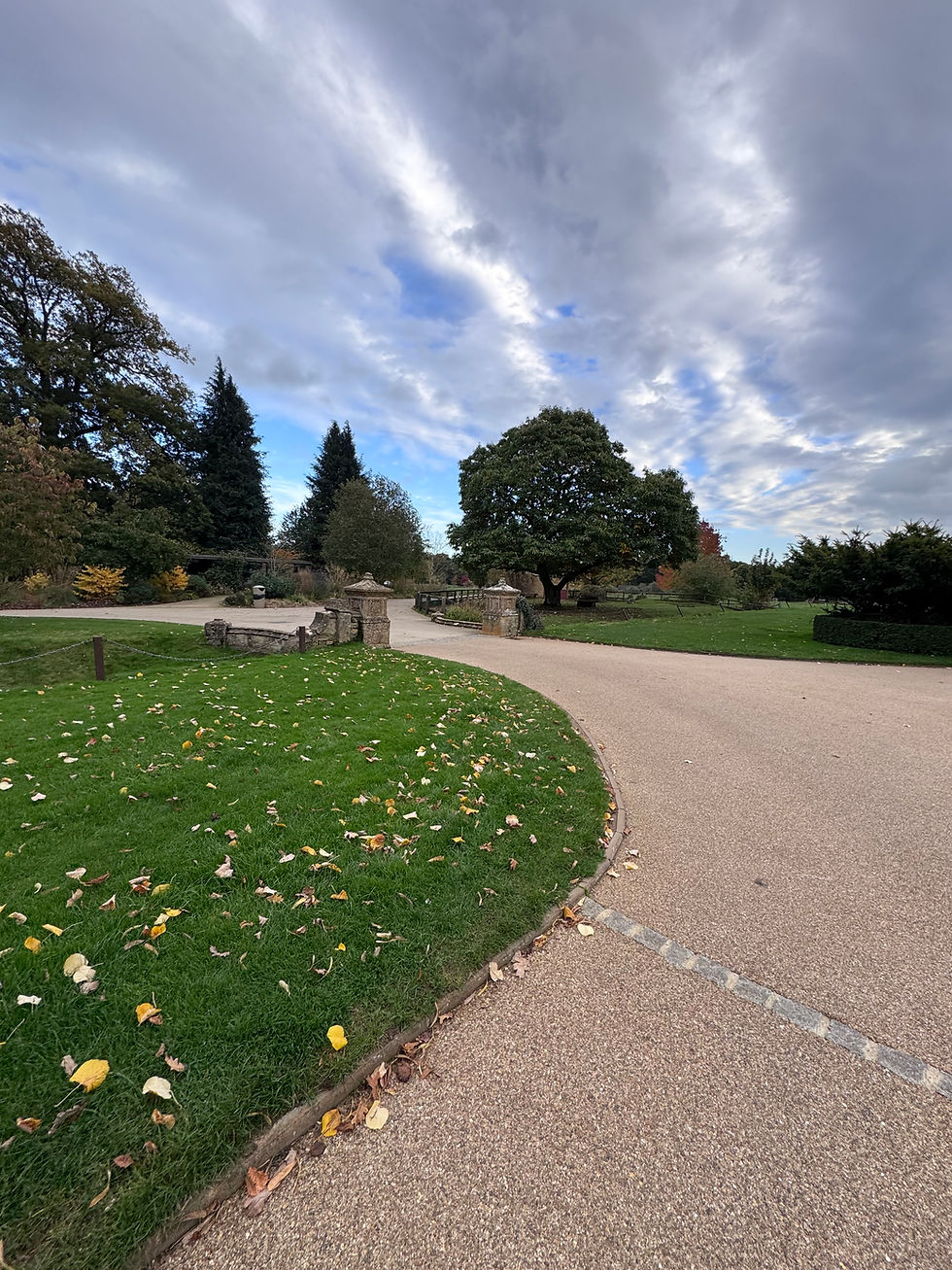 photo 18-10-2024, 16 38 42