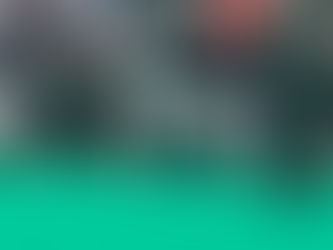 My experience at Crufts...