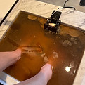 IMG_5618.jpeg