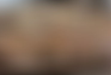 The overall introduction of carousel ride