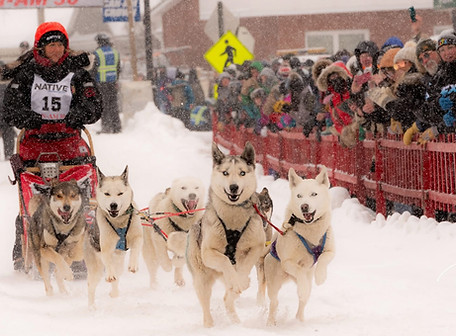 Wilderness - Aimee.jpeg