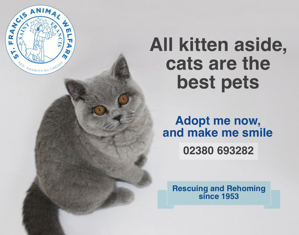 St. Francis Animal Welfare Horizontal Advert