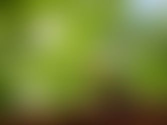 Blogue : Routine ayurvédique du matin