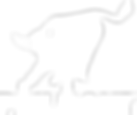 Inverted Philmont Bull (Transparent).png