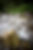 Trinidad and Cold Beer Lake Group Night Best Edited-6.jpg