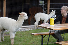DSC_0066.JPG