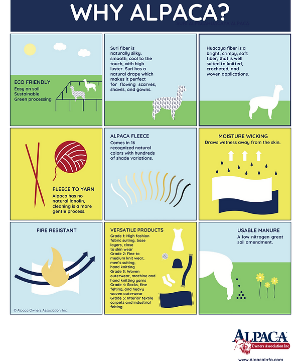 Why Alpaca Poster PNG.png