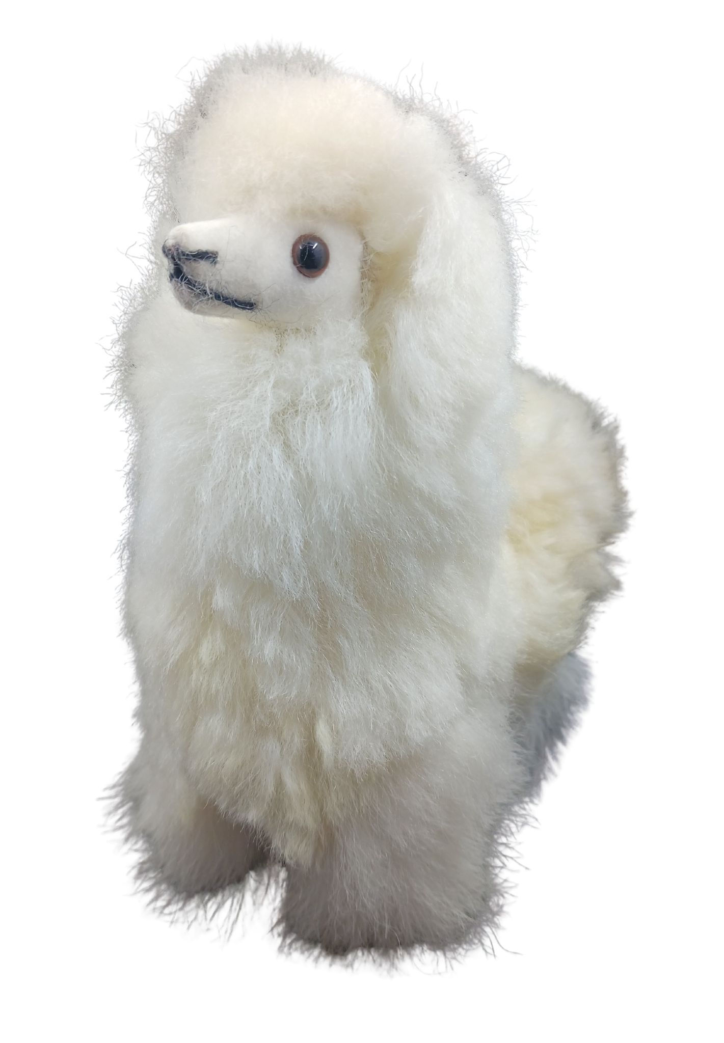 Alpaca 8" Beige with White