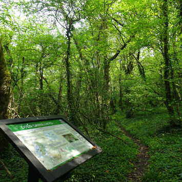 Woodland Vale Nature Partnership