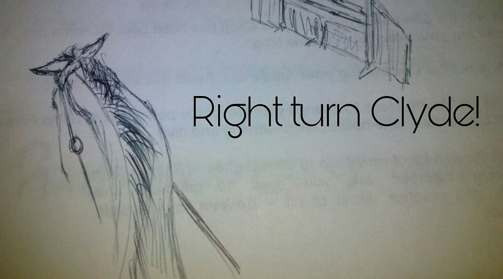 Jenni Nellist Animal Behaviourist Horses Translated Blog Right Turn Clyde!