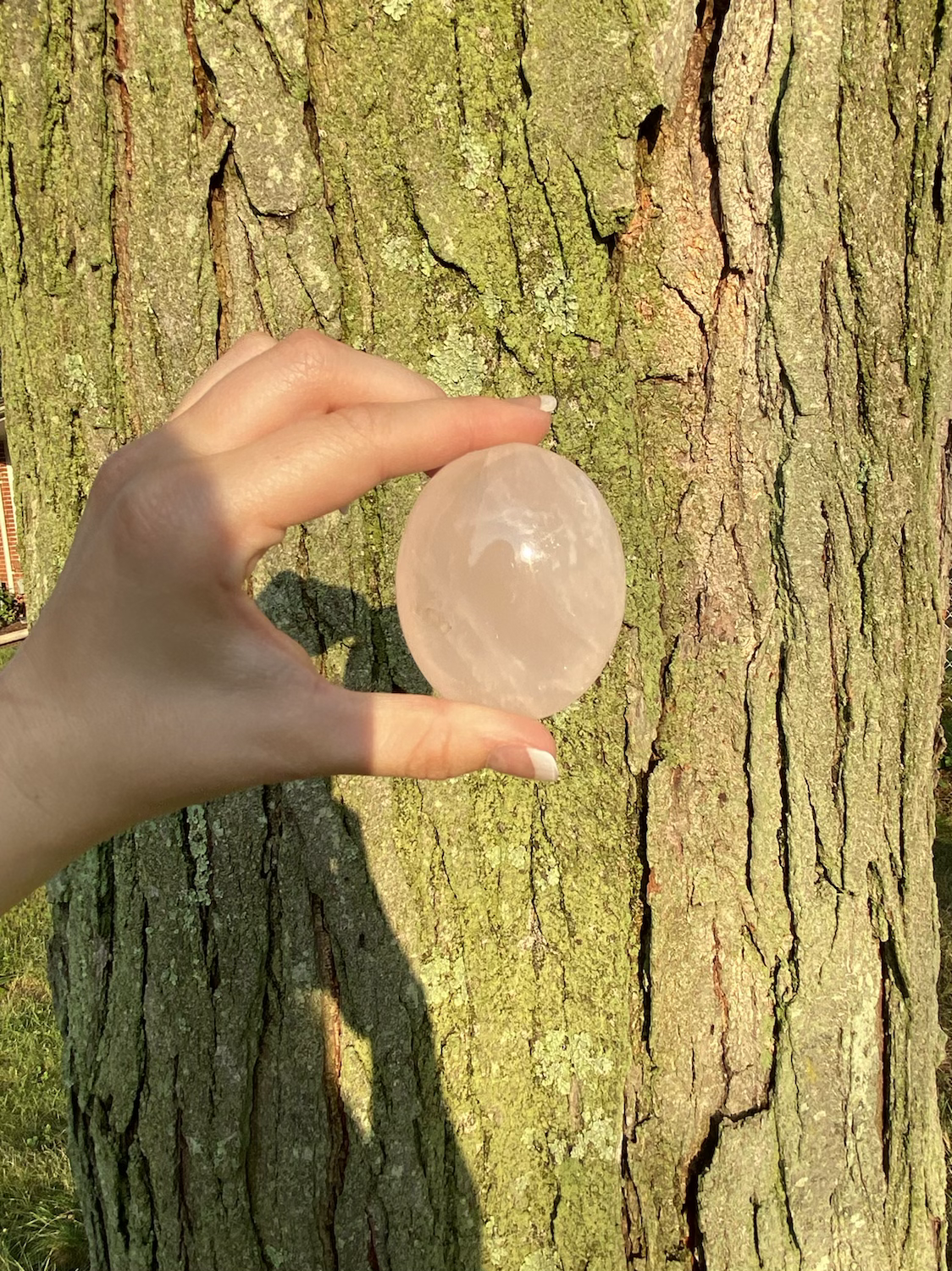 Rose Quartz Palm Stone
