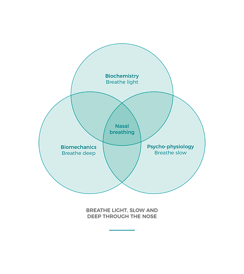 BC_VennDiagram.png