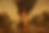 websiteBanner.png