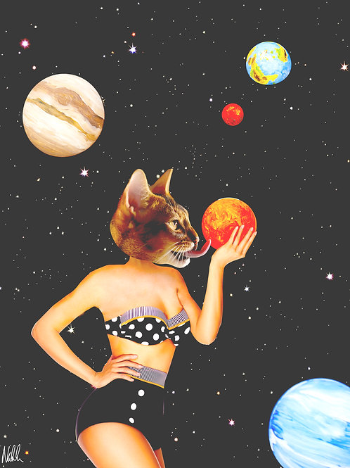 Spacecataz 1