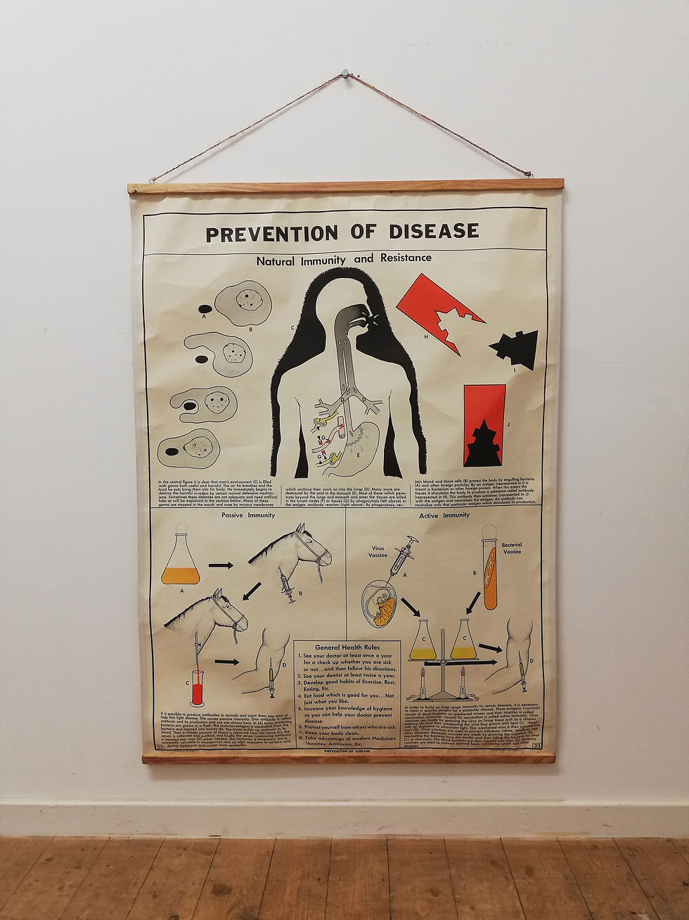 Thumbnail: EDUCATIONAL SCHOOL POSTERS