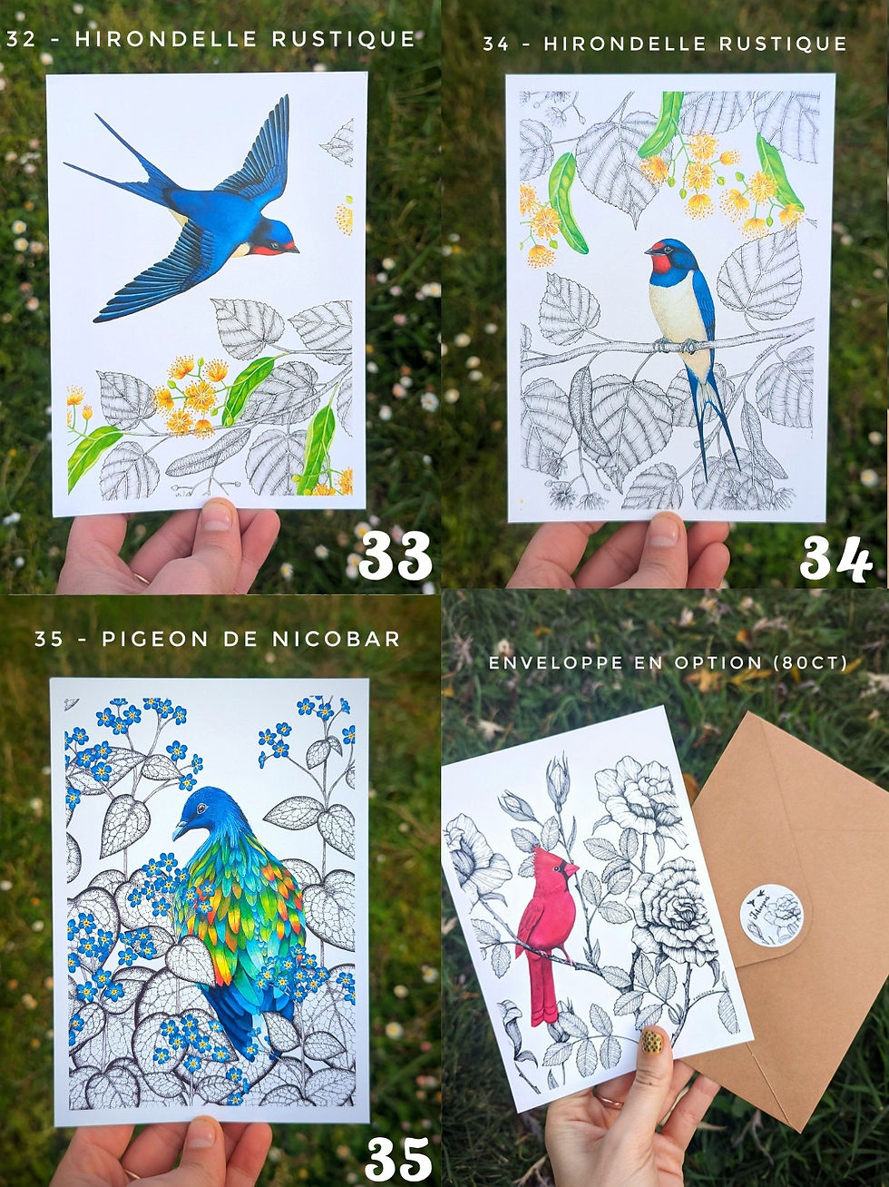 Miniature : Cartes illustrées (Lot de 3 à composer)