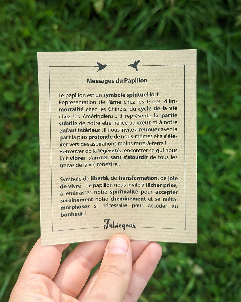 Miniature : Broche Papillon Flambé