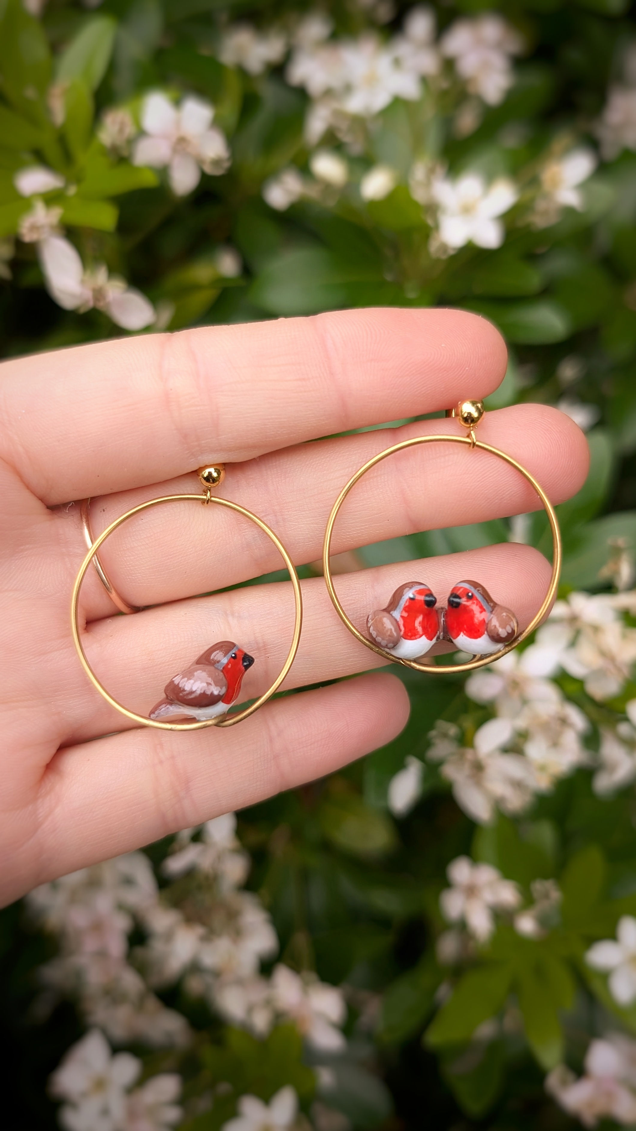 Boucles trio de Rouge-gorge
