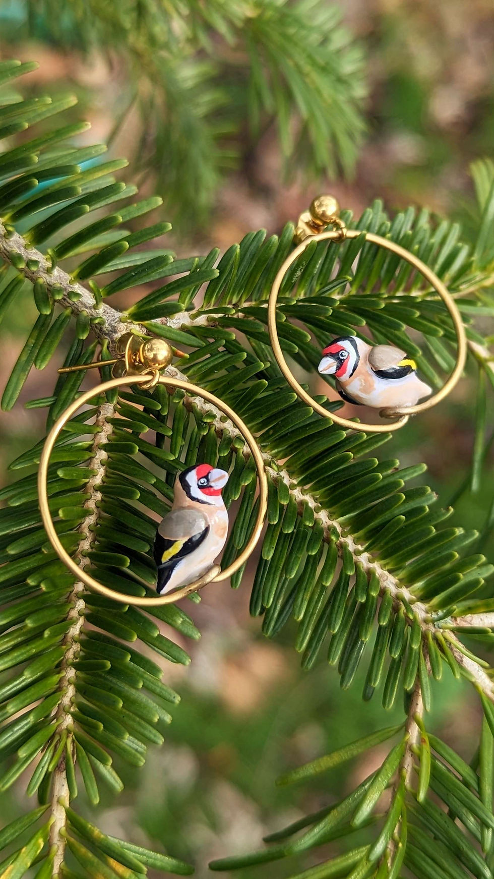 Miniature : Boucles Chardonneret élégant 