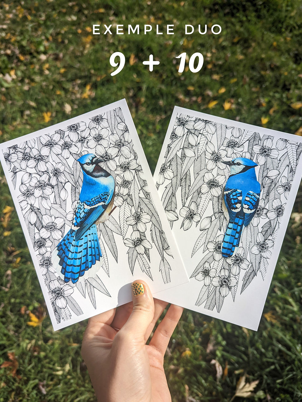 Miniature : Cartes illustrées (Lot de 3 à composer)