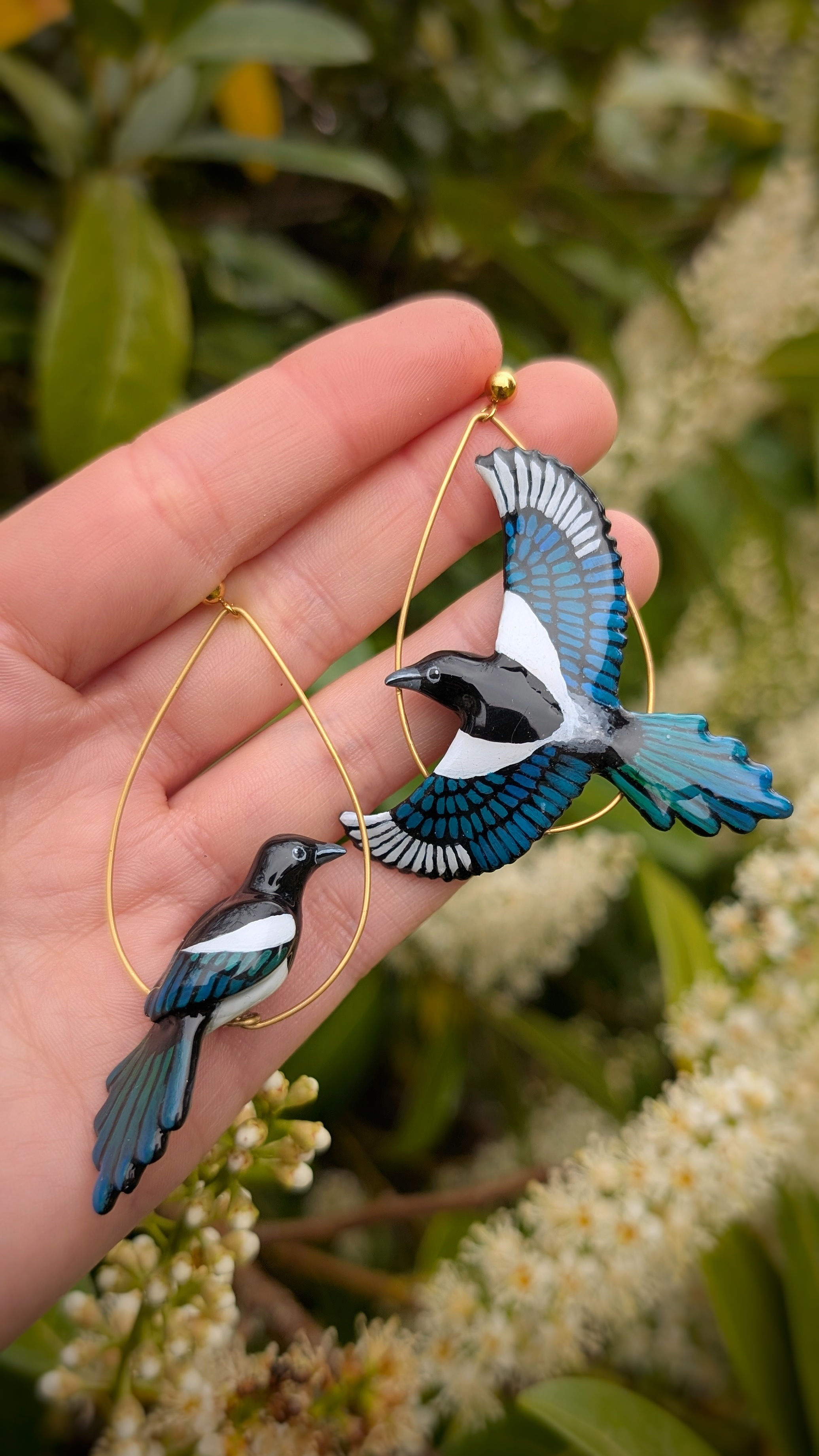 Boucles Pie Bavarde en vol