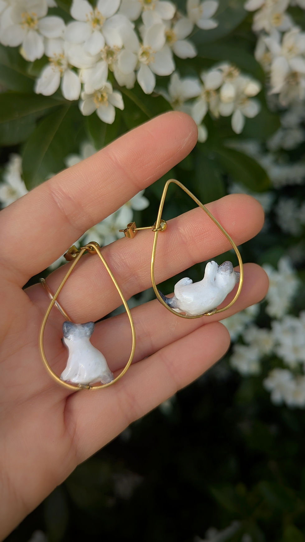 Miniature : Boucles Chatons sybériens