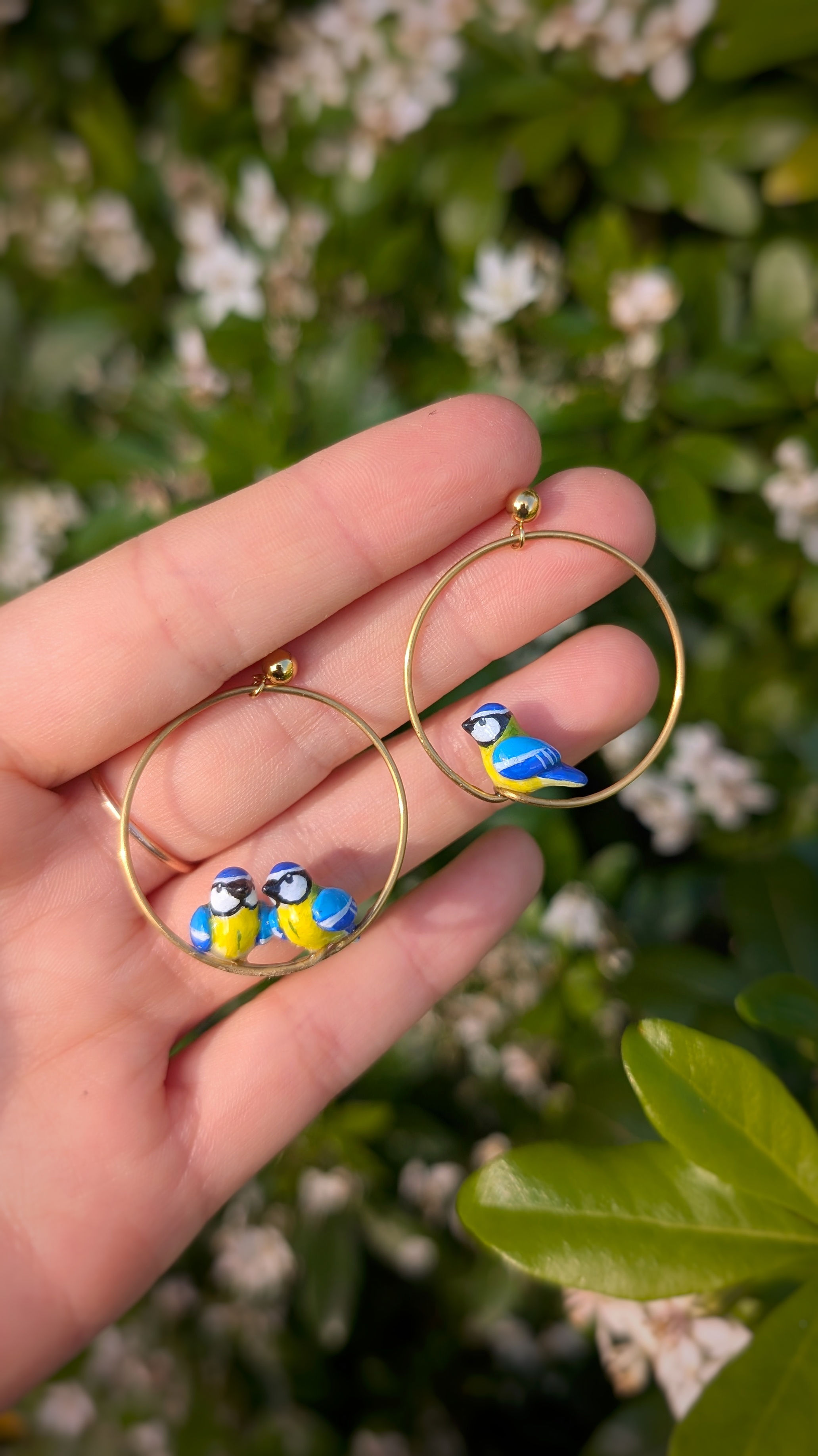 Boucles trio de Mésanges bleues