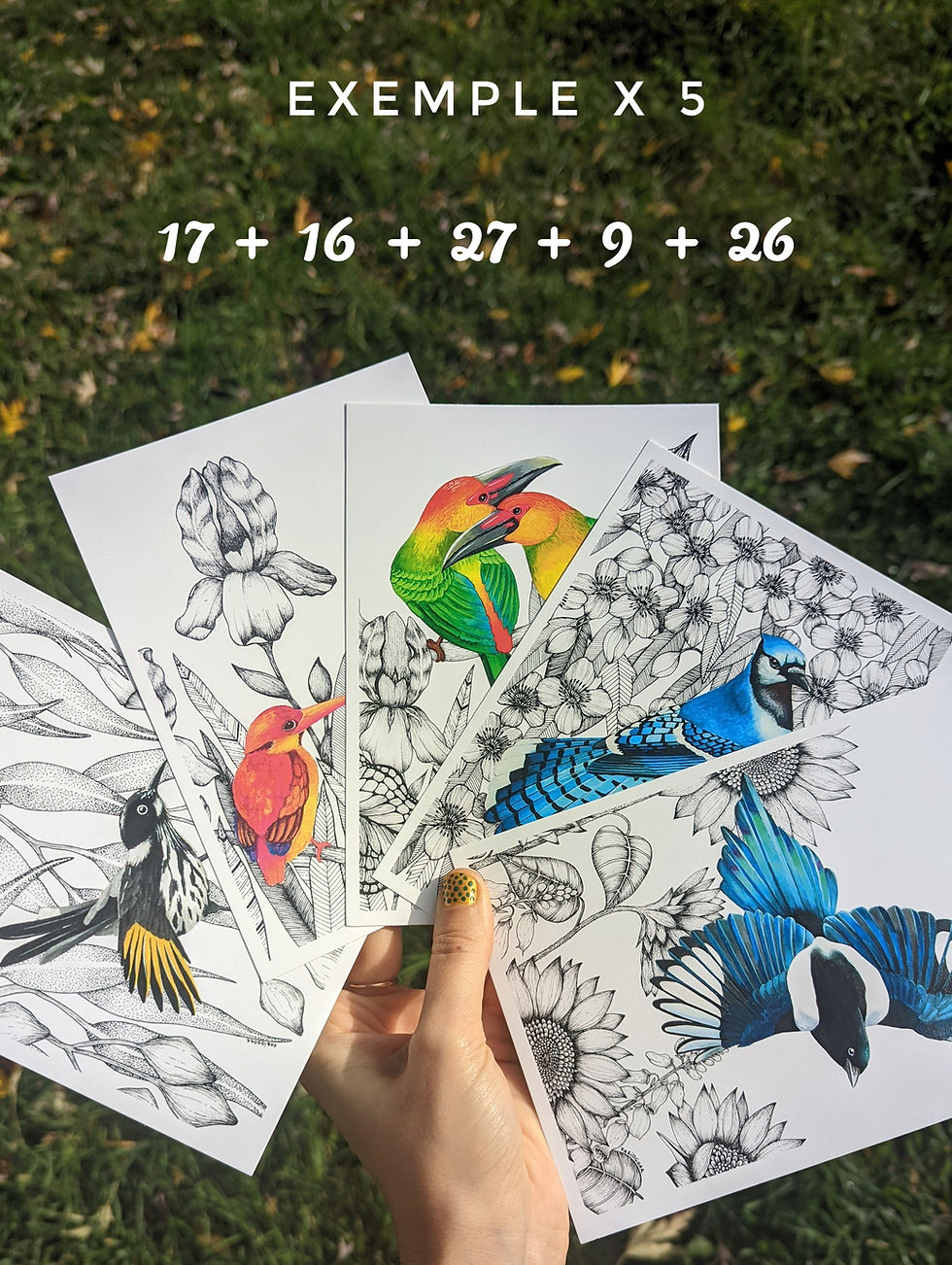 Miniature : Cartes illustrées (lot de 4 à composer)